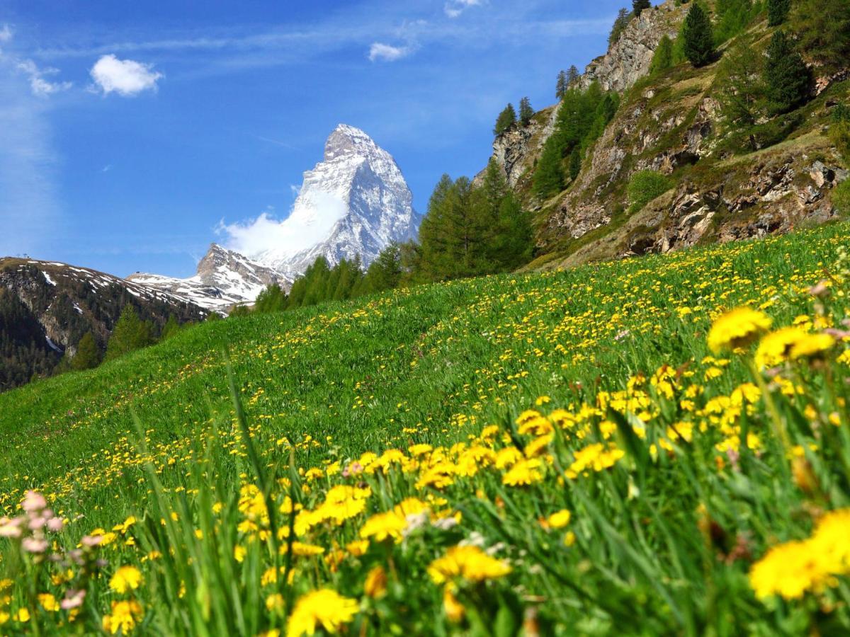 Apartment Kondor By Interhome Zermatt Bagian luar foto