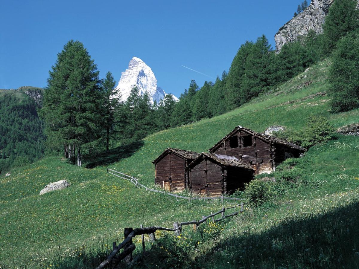 Apartment Kondor By Interhome Zermatt Bagian luar foto